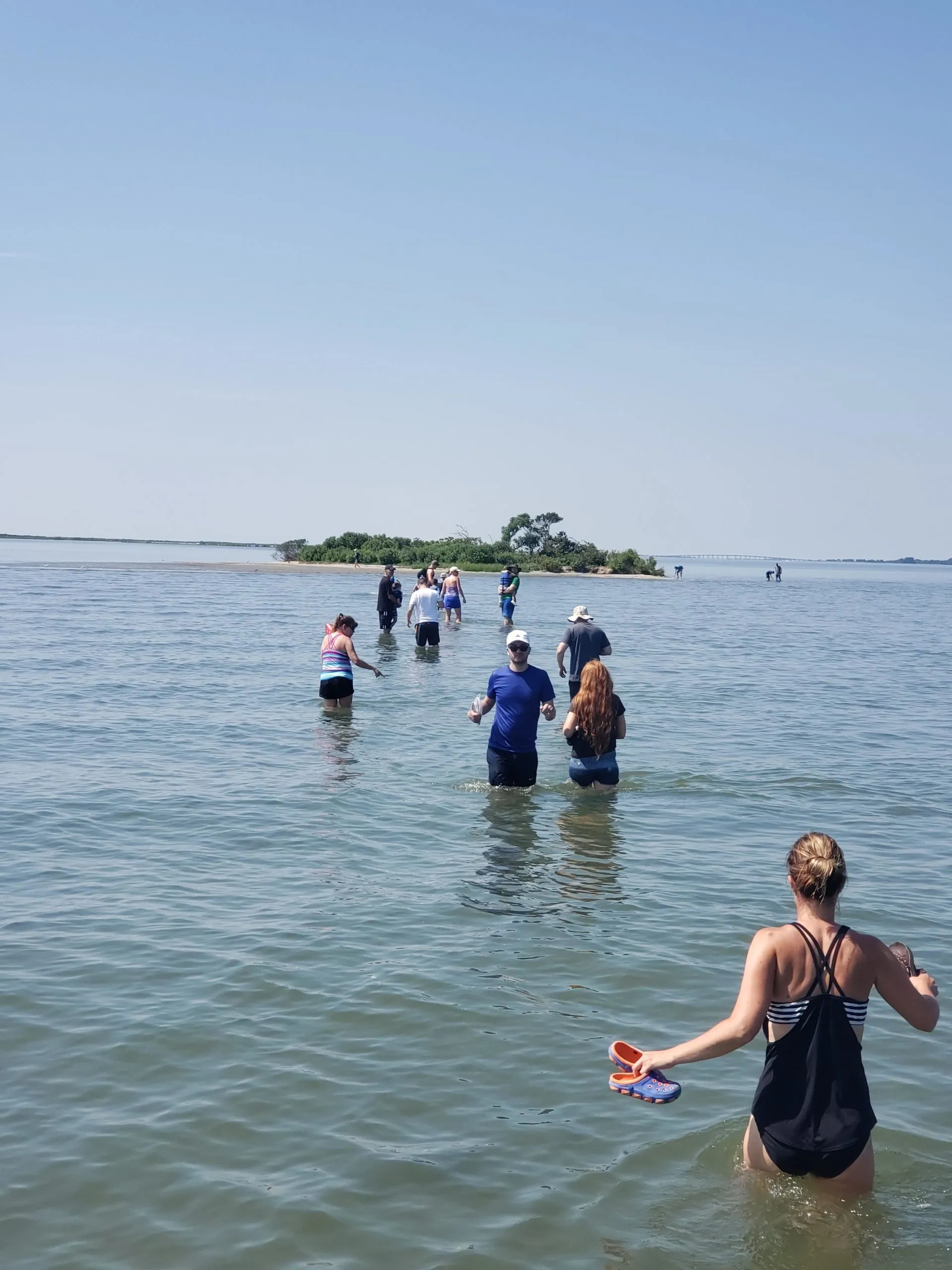a group of people swimming in a body of water