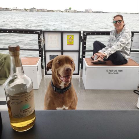 Dog on a boat with a bottle on a table and a person in a striped hoodie in the background.
